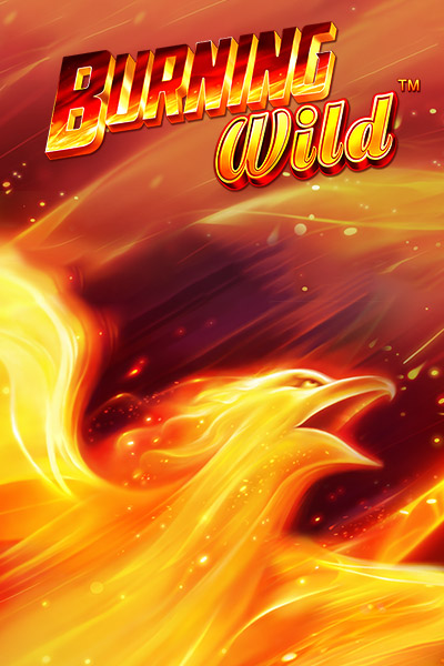 Burning Wild