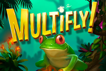 MultiFly!